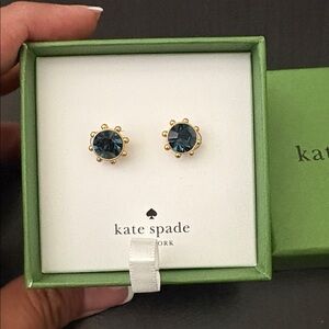 NIB KATE SPADE Flying Colors Stud Earrings